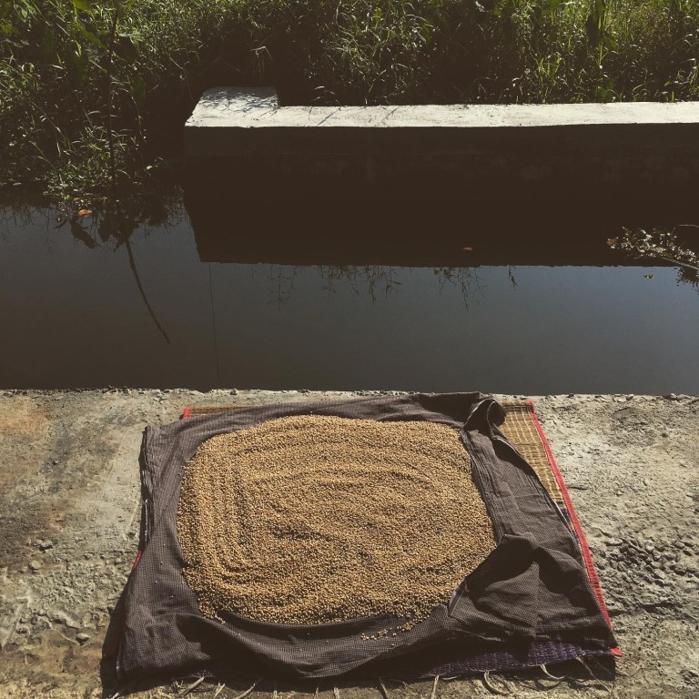 11 - 3C94F434-4AB2-4774-8F8B-245FA74AA5AA