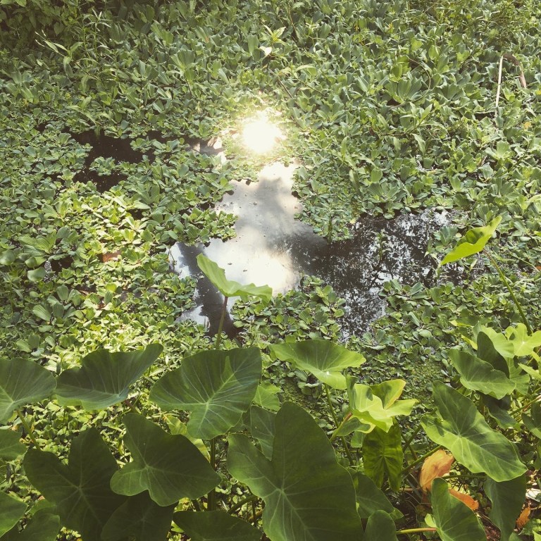 6 - 816BFE60-D6FF-4561-A5D3-1ADADA1D2448